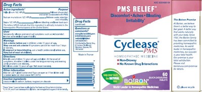Box (Cyclease Pms)